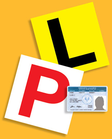 learner licence getting license p2